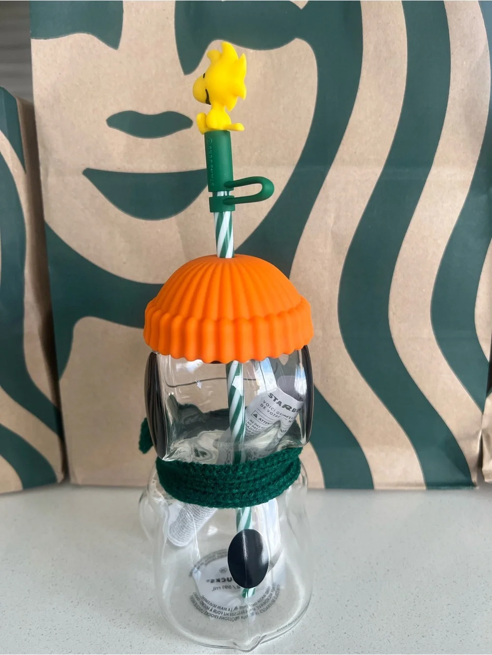 Peanuts Snoopy Starbucks Collection Glass Cup 🎃
